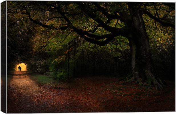 Autumn stroll Canvas Print by Robert Fielding