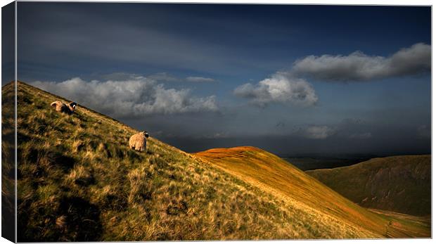Last light over Bowscale fell Canvas Print by Robert Fielding