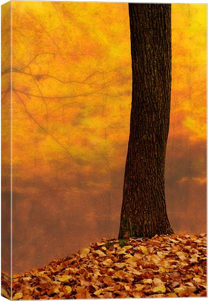 Autumn blur abstract Canvas Print by Robert Fielding