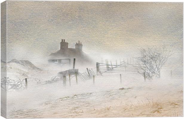 A winters blizard Canvas Print by Robert Fielding