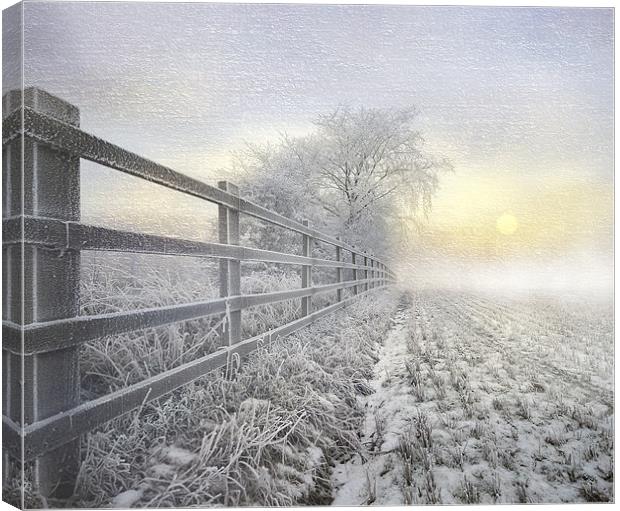 Winters nip Canvas Print by Robert Fielding
