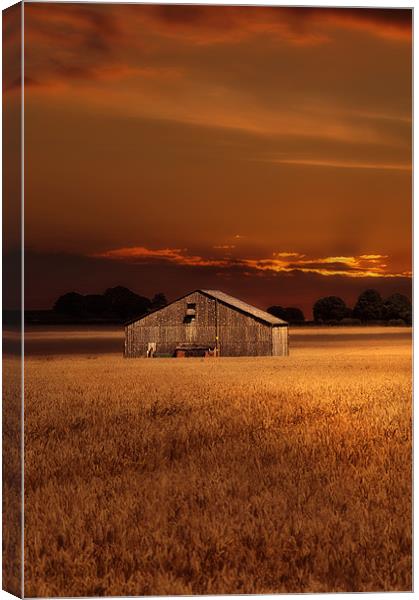 The field barn Canvas Print by Robert Fielding