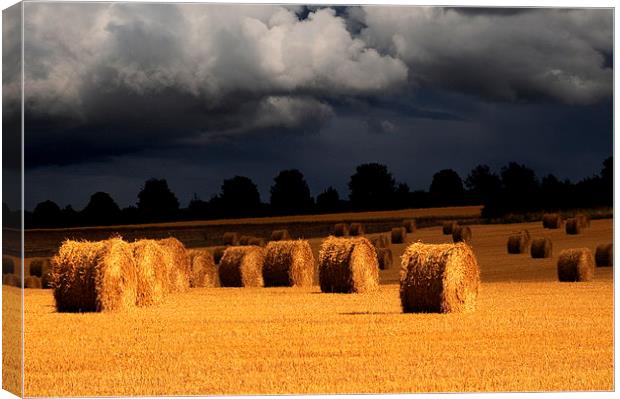 Harvest storm Canvas Print by Robert Fielding