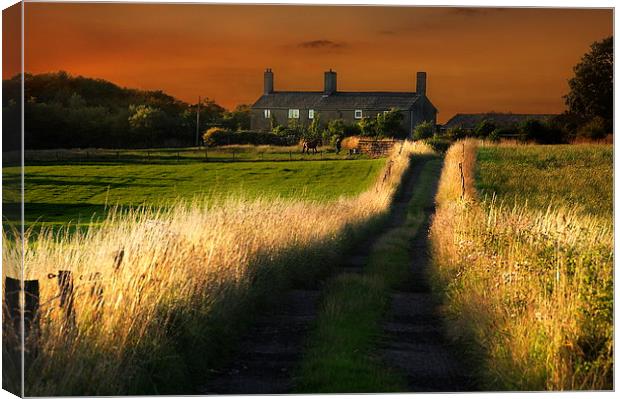 A Lancashire farmhouse Canvas Print by Robert Fielding