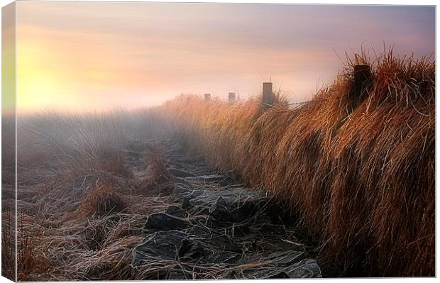 After the gales Canvas Print by Robert Fielding
