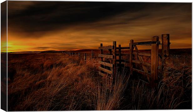 Rustic mood Canvas Print by Robert Fielding