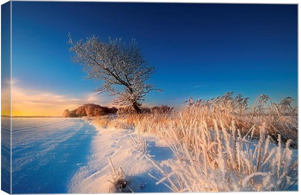 A winters morning Canvas Print by Robert Fielding