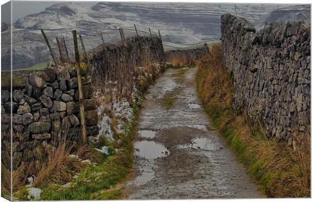 A dales way Canvas Print by Robert Fielding