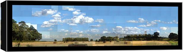 Corn Field Canvas Print by John Boekee