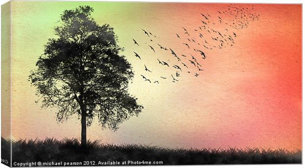 The Birds Canvas Print by michael pearson