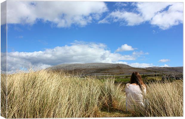 Burren View Canvas Print by Cormac Irwin