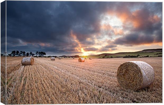 Straw Bale Sunset Canvas Print by Barry Maytum