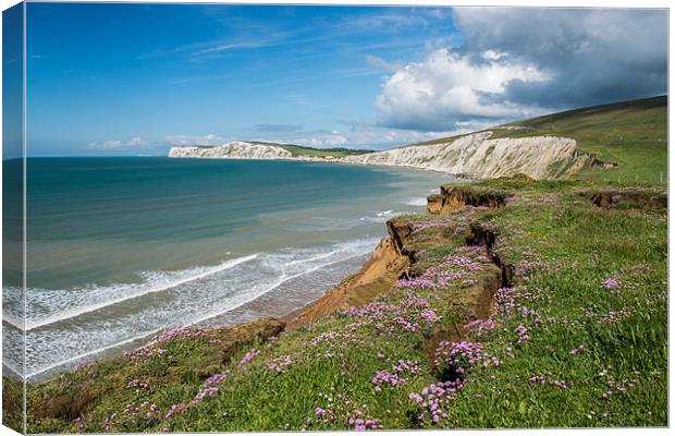 Compton Bay Cliff Canvas Print by Barry Maytum