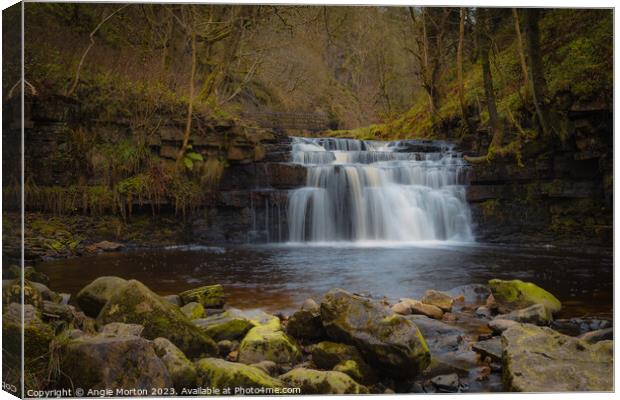Ashgill Force Fall Canvas Print by Angie Morton