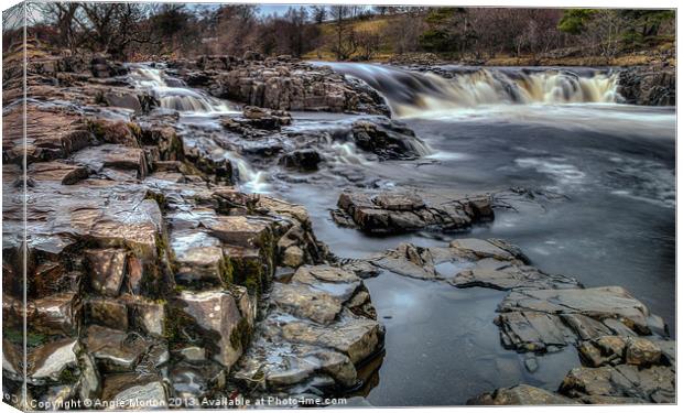 Low Force on the Tees Canvas Print by Angie Morton
