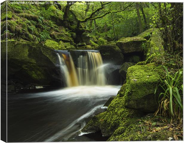 Burbage Brook Fall Canvas Print by Angie Morton