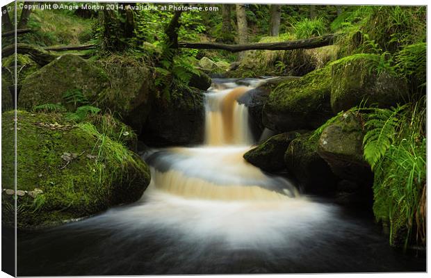 Burbage Brook Cascade Canvas Print by Angie Morton