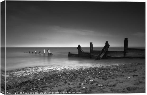 Withersea Beach Groyne Canvas Print by Angie Morton