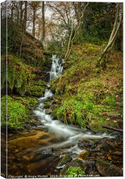 Black Brook Waterfall Canvas Print by Angie Morton