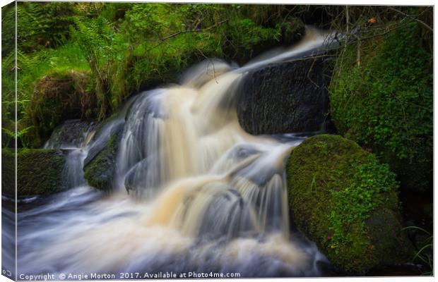 Wyming Brook in Flow Canvas Print by Angie Morton