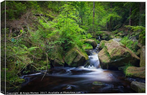 Wyming Brook in Spring Canvas Print by Angie Morton