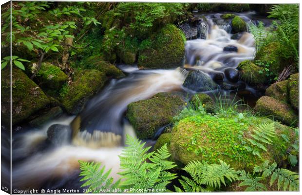 Babbling Wyming Brook Canvas Print by Angie Morton