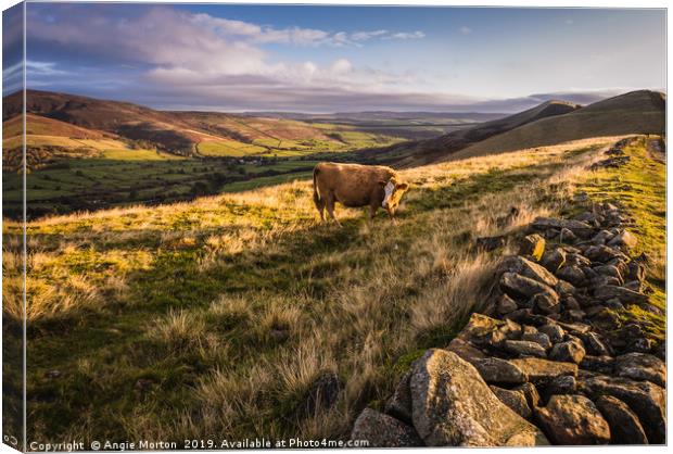 Vale of Edale Canvas Print by Angie Morton