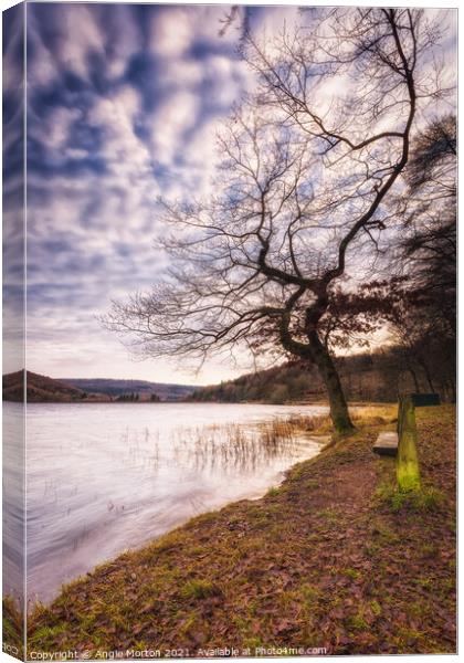 Morehall Reservoir Bench and Tree Canvas Print by Angie Morton