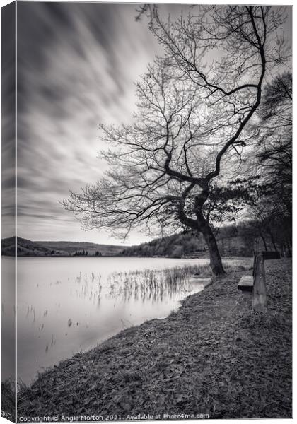 Morehall Reservoir Companions in Mono Canvas Print by Angie Morton