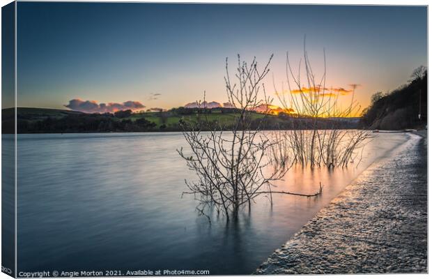 Willow in The Water at Damflask Canvas Print by Angie Morton
