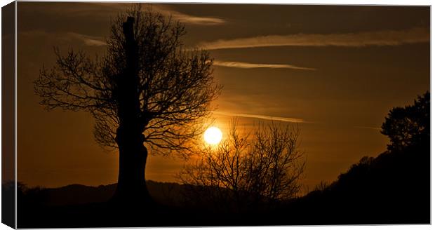 Silhouettes at Sunset Canvas Print by Mark Battista