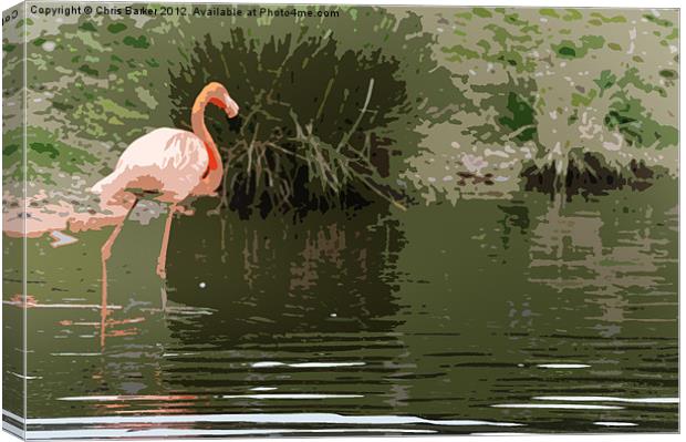 Flamingo Canvas Print by Chris Barker