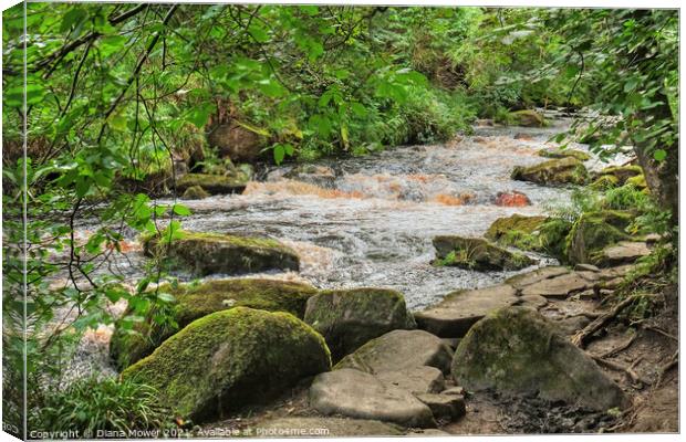 Hebden water near Hardcastle Crags Canvas Print by Diana Mower