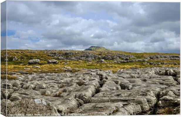 Ingleborough peak from Thistleton Canvas Print by Diana Mower