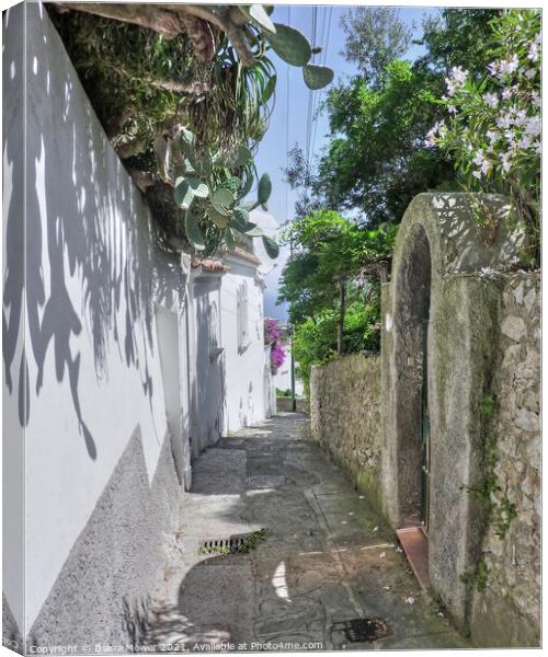 The Island of Capri Canvas Print by Diana Mower