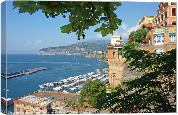 The Port of Sorrento from the Piazza Tasso Canvas Print by Diana Mower