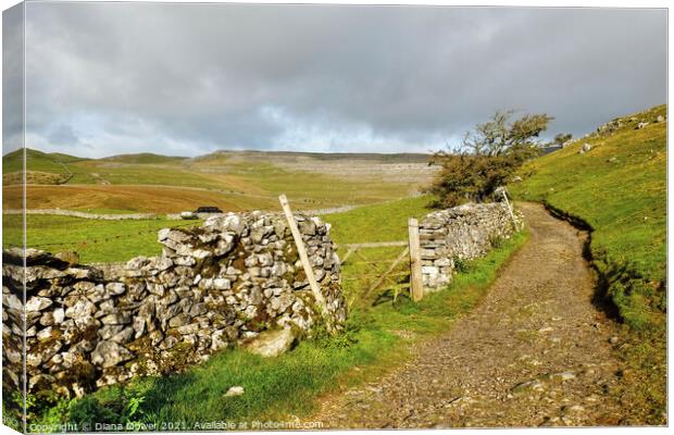 Yorkshire Dales footpath View Canvas Print by Diana Mower