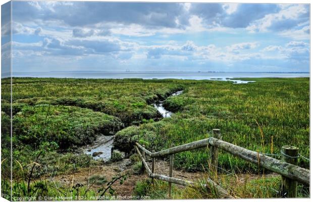 Two Tree Island Marshes  Essex Canvas Print by Diana Mower