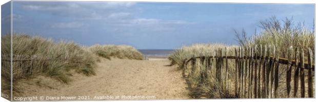 Mablethorpe beach Path panoramic Canvas Print by Diana Mower