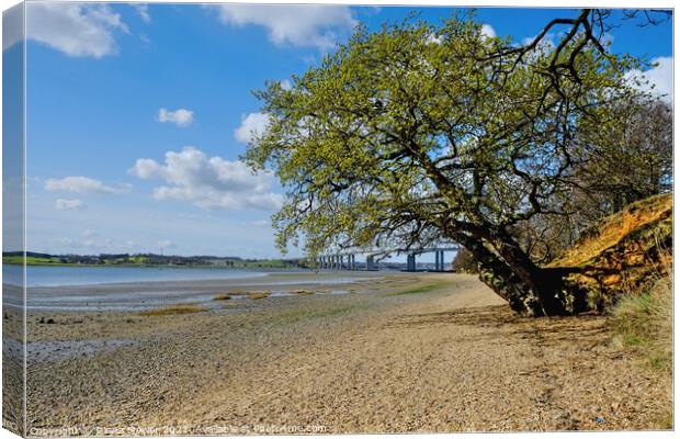  Low tide River Orwell Suffolk Canvas Print by Diana Mower