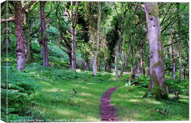 Quantock woodlands Somerset Canvas Print by Diana Mower