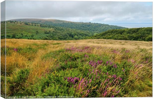 The Quantock Hills and woodlands Somerset Canvas Print by Diana Mower