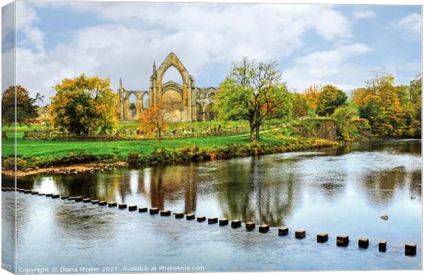 Bolton Abbey River Wharfe Yorkshire Canvas Print by Diana Mower