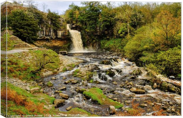 Thornton Force river Twiss Yorkshire Canvas Print by Diana Mower