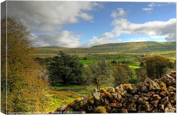 Yorkshire Dales Landscape Panoramic Canvas Print by Diana Mower
