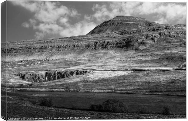 Ingleborough peak Yorkshire Monochrome Canvas Print by Diana Mower