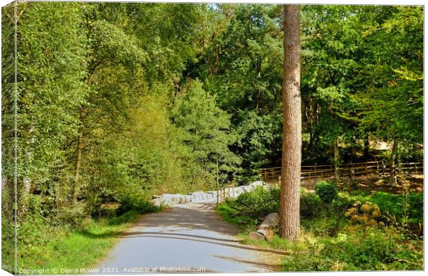 Cannock Chase Woodland trails Canvas Print by Diana Mower