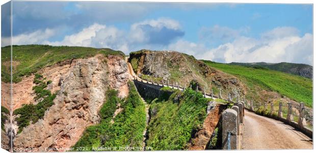 La Coupee Sark Panorama Canvas Print by Diana Mower