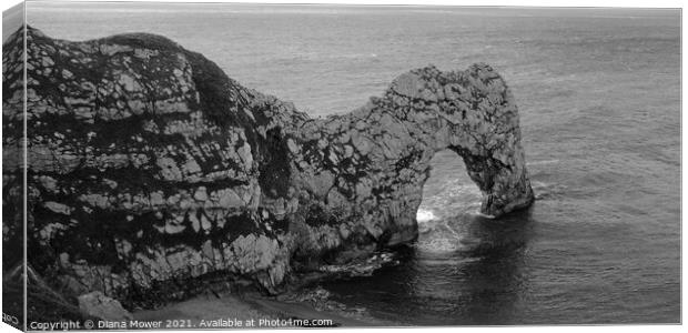 Durdle Door Dorset Panoramic Canvas Print by Diana Mower