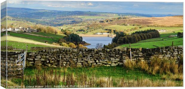Lower Laithe Yorkshire Panoramic Canvas Print by Diana Mower